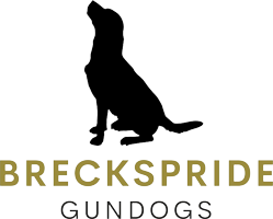 Breckspride Gundogs